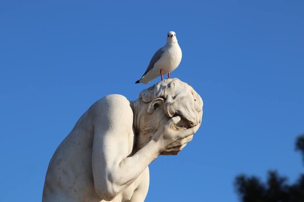 Quelles activités insolites peuvent égayer vos moments en location de vacances ?