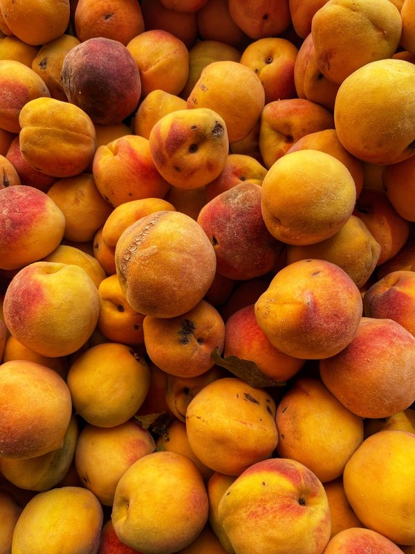 Comment vivre une expérience de pêche à la mouche en Nouvelle-Zélande ?